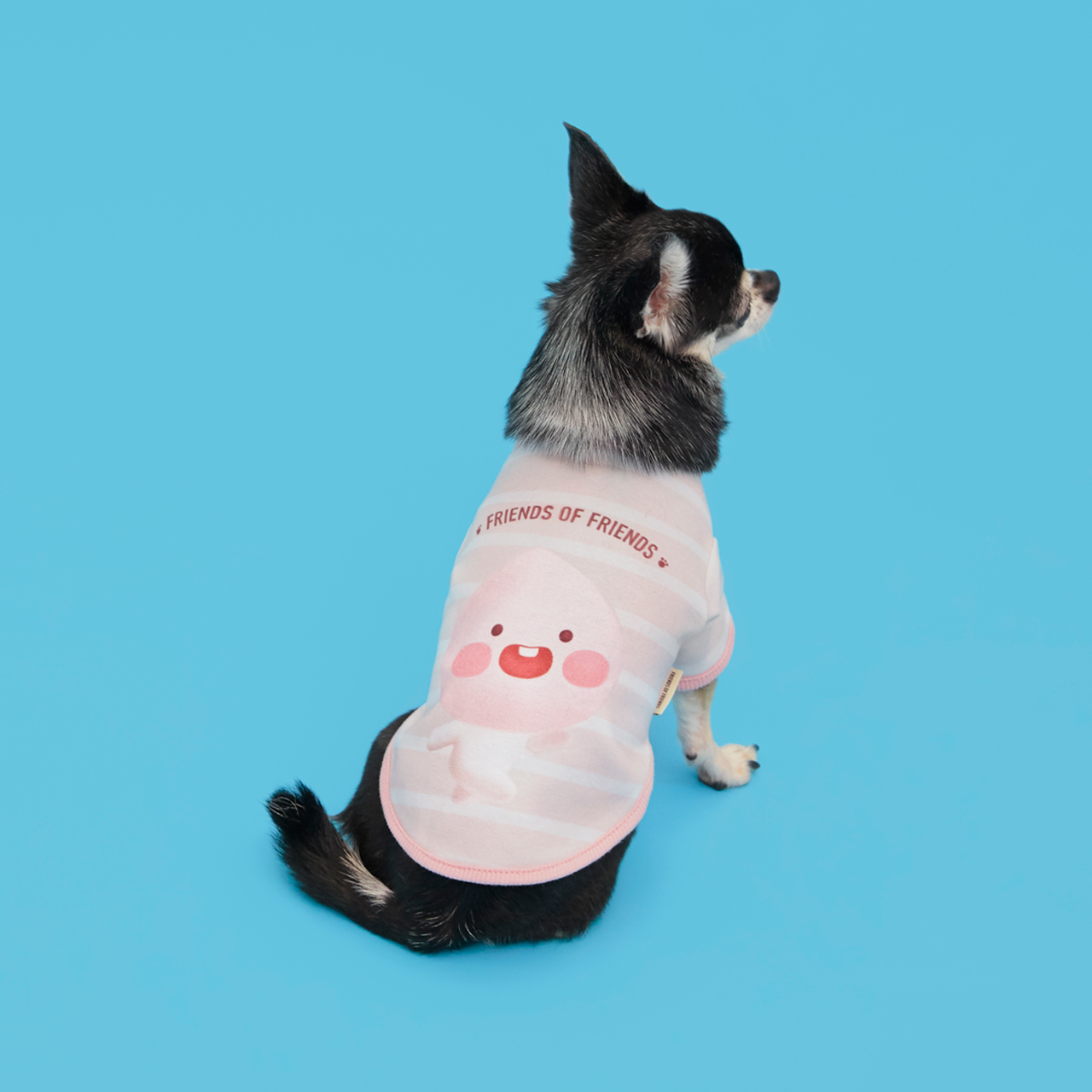 제품 상세사진